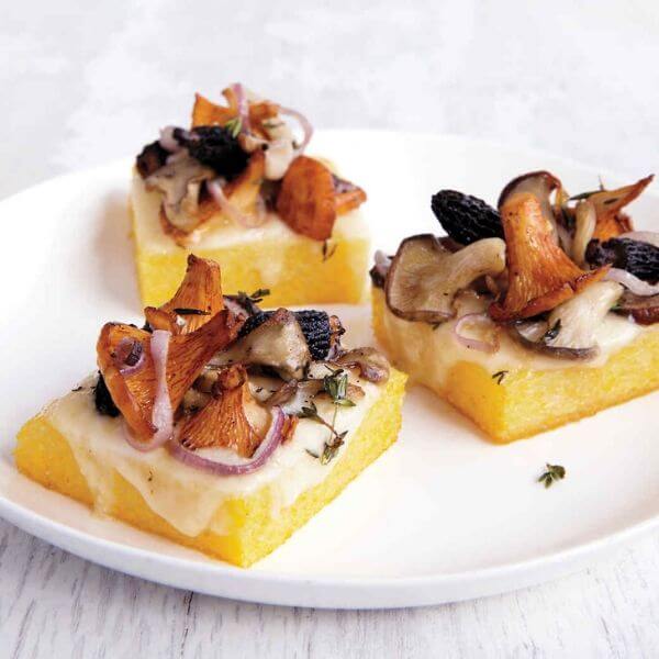 Wild Mushroom Saute and Fontina on Crispy Polenta