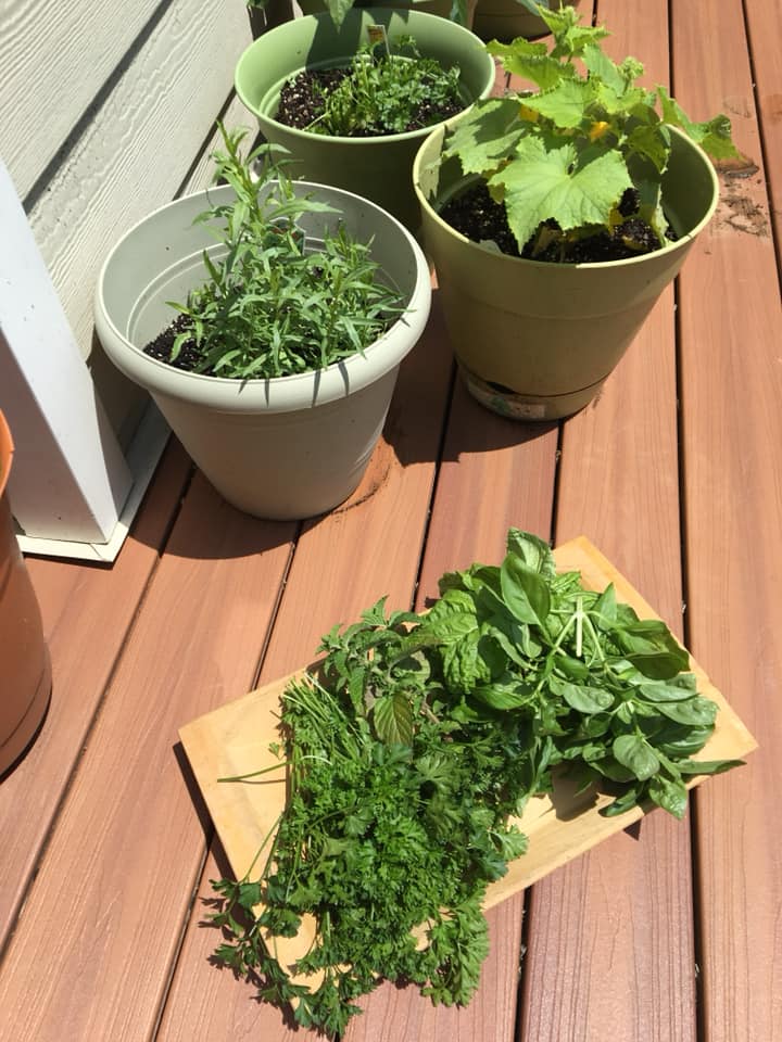 container garden pots and harvest